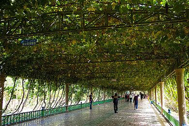 《真三国无双：起源》甄姬凌统典韦介绍 甄姬貌美如花